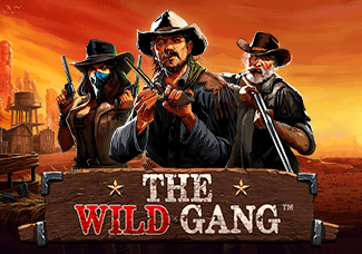 The Wild Gang screenshot